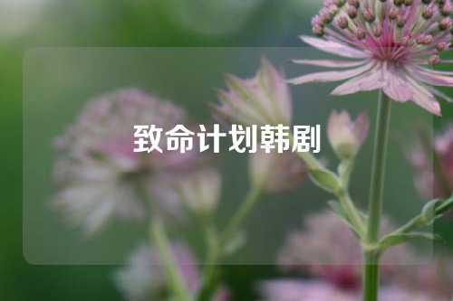 致命计划韩剧