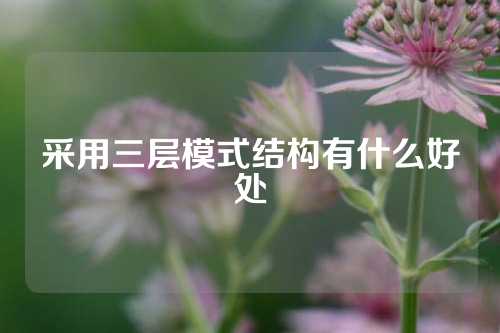 采用三层模式结构有什么好处