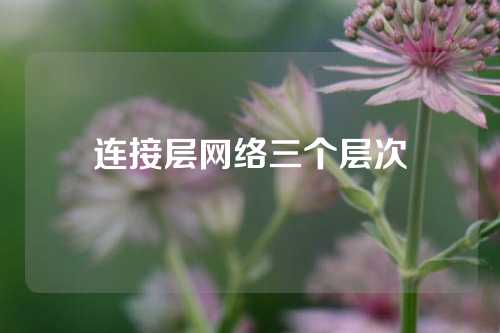 连接层网络三个层次