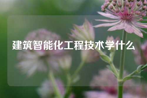 建筑智能化工程技术学什么