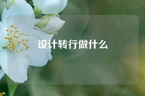 设计转行做什么