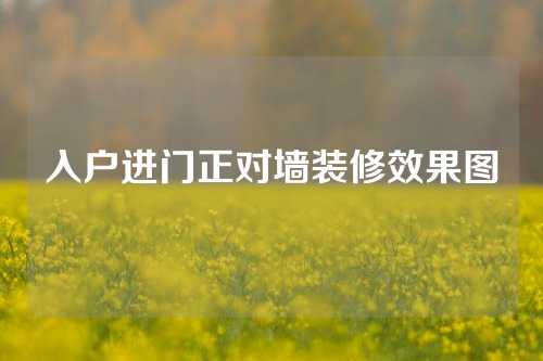 入户进门正对墙装修效果图