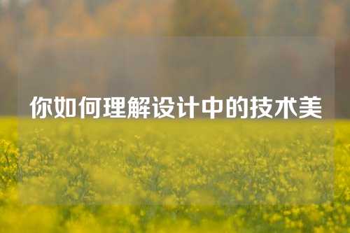 你如何理解设计中的技术美