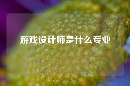 游戏设计师是什么专业