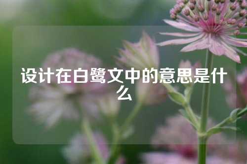 设计在白鹭文中的意思是什么