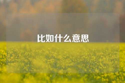 比如什么意思