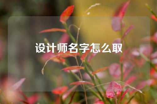 设计师名字怎么取