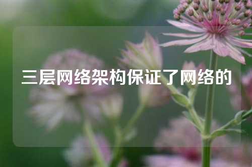 三层网络架构保证了网络的