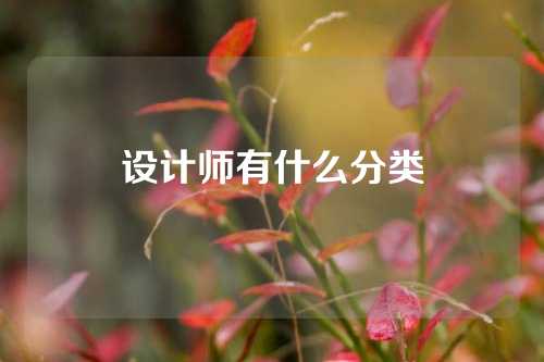 设计师有什么分类