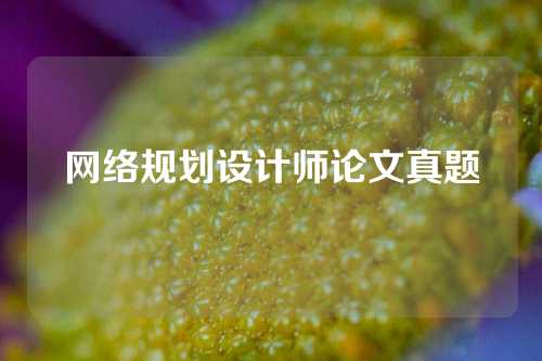 网络规划设计师论文真题