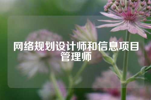 网络规划设计师和信息项目管理师