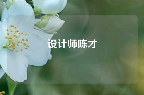 设计师陈才