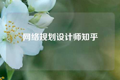 网络规划设计师知乎