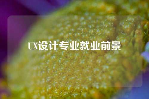 UX设计专业就业前景