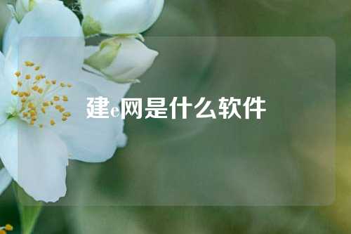 建e网是什么软件