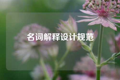 名词解释设计规范