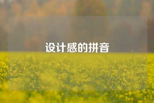 设计感的拼音