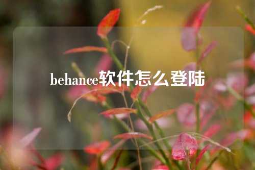 behance软件怎么登陆