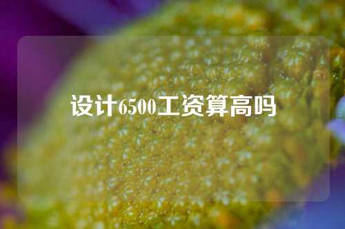 设计6500工资算高吗