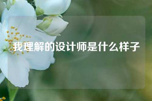 我理解的设计师是什么样子