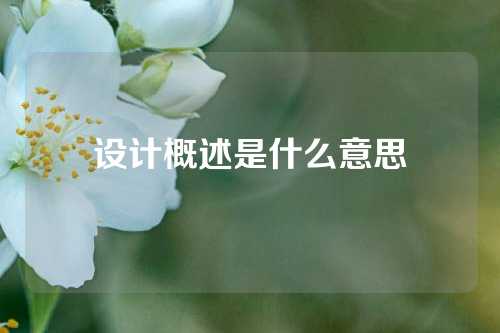 设计概述是什么意思