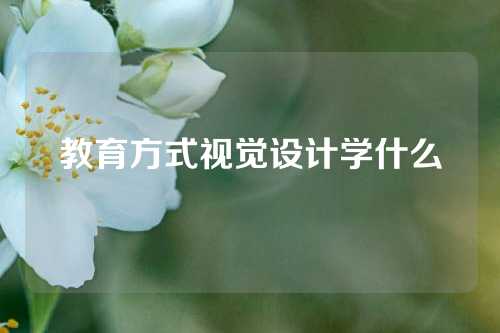 教育方式视觉设计学什么