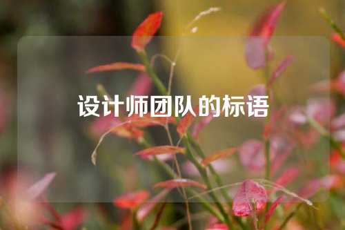 设计师团队的标语