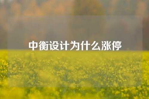 中衡设计为什么涨停