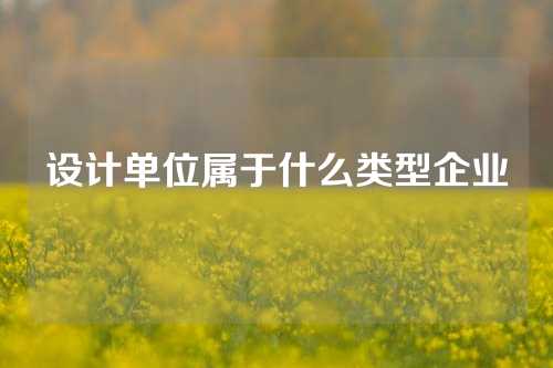 设计单位属于什么类型企业