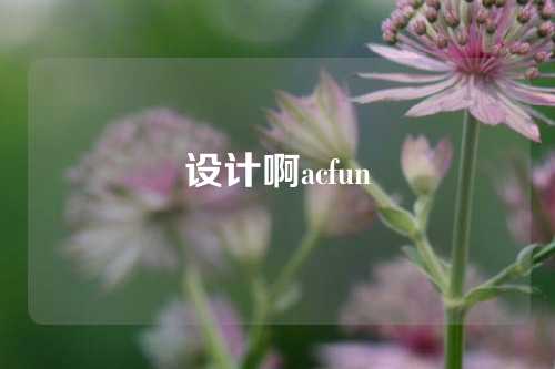 设计啊acfun