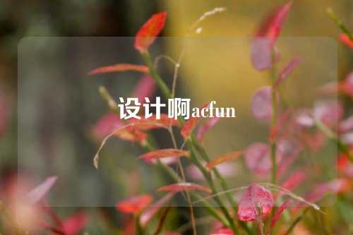 设计啊acfun