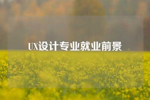 UX设计专业就业前景