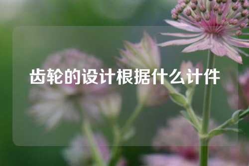 齿轮的设计根据什么计件