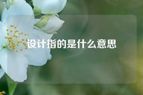 设计指的是什么意思