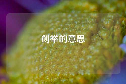 创举的意思