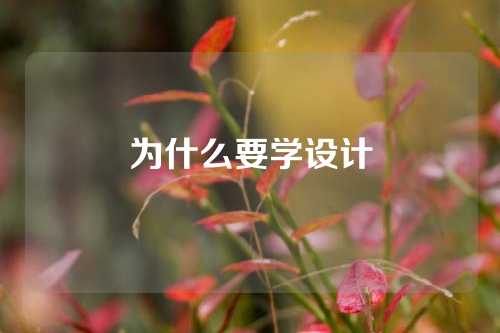 为什么要学设计