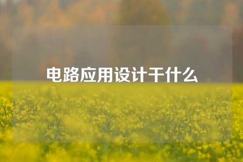 电路应用设计干什么