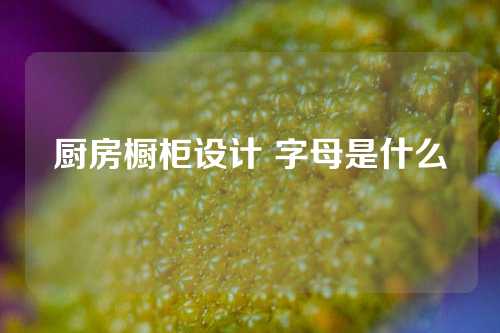 厨房橱柜设计 字母是什么