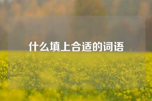 什么填上合适的词语