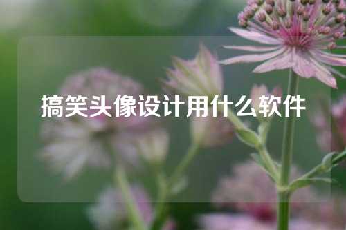 搞笑头像设计用什么软件