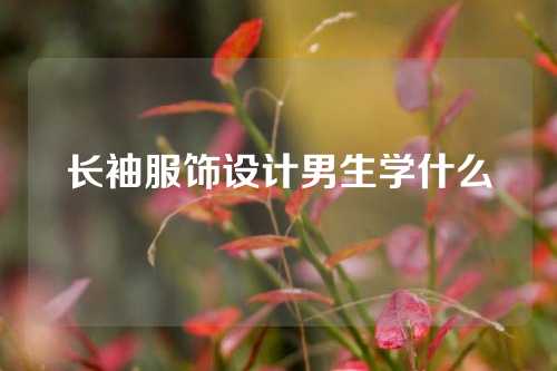 长袖服饰设计男生学什么