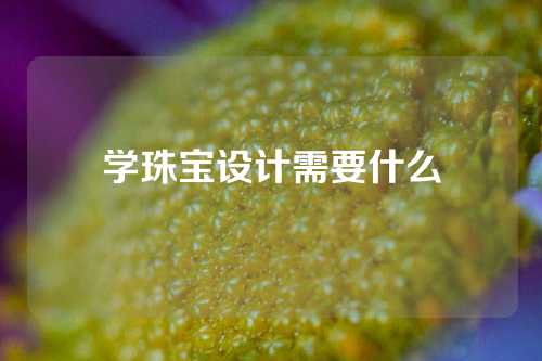 学珠宝设计需要什么