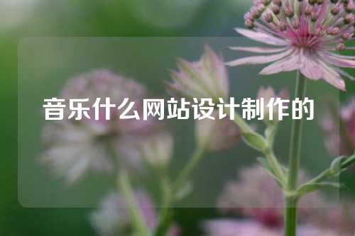 音乐什么网站设计制作的