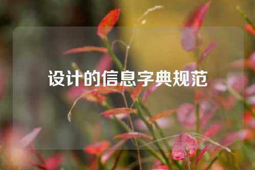 设计的信息字典规范