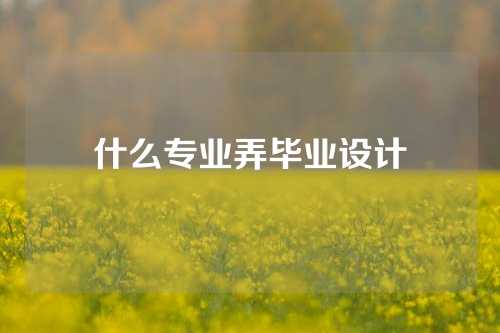 什么专业弄毕业设计