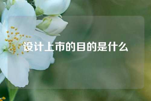 设计上市的目的是什么