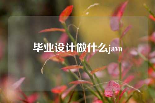 毕业设计做什么java