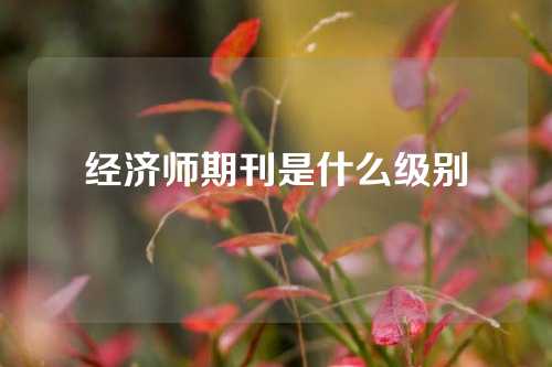 经济师期刊是什么级别