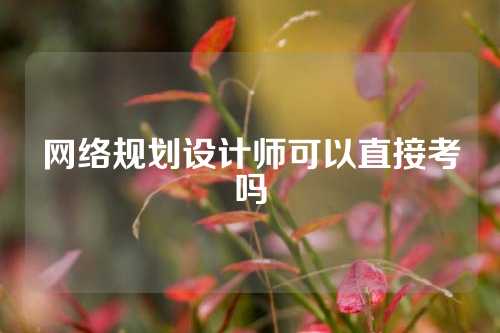 网络规划设计师可以直接考吗