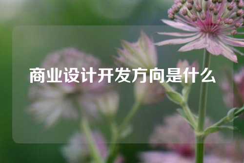 商业设计开发方向是什么